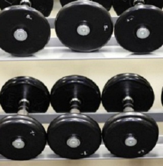 Case Study: Tristan Hand Training